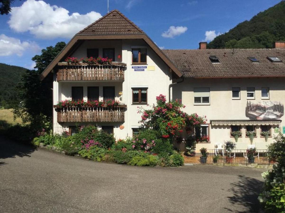Pension Schneider Freiamt Exterior photo