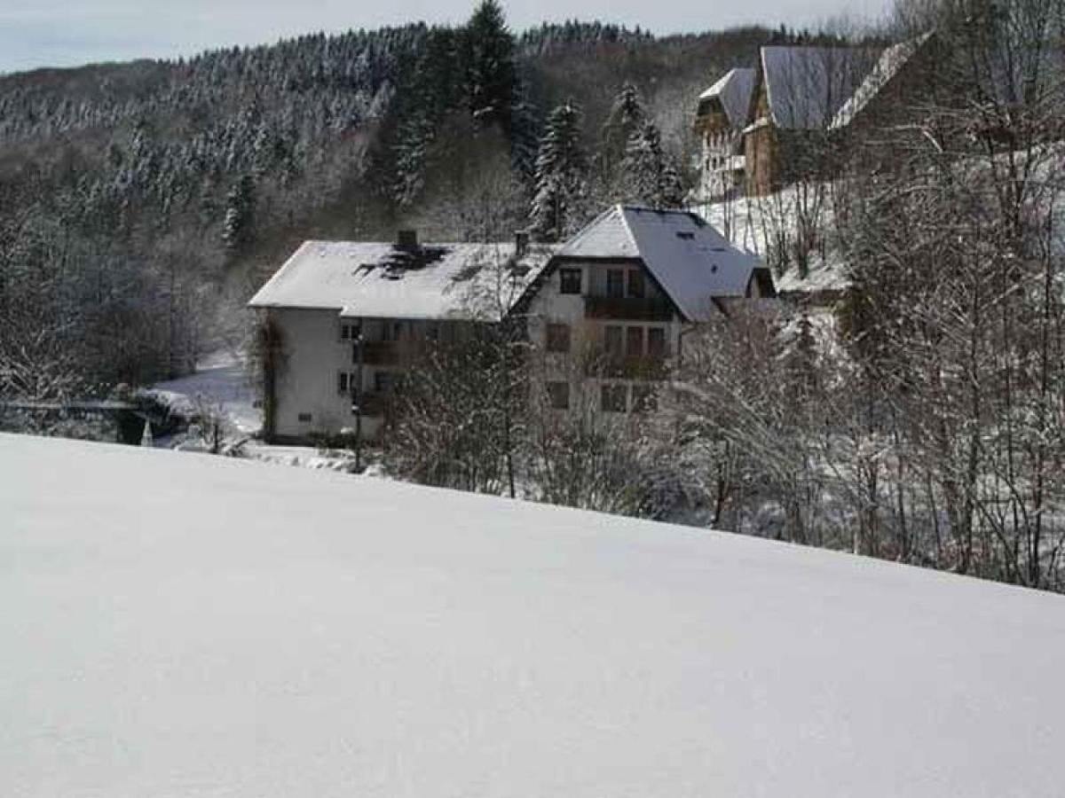 Pension Schneider Freiamt Exterior photo